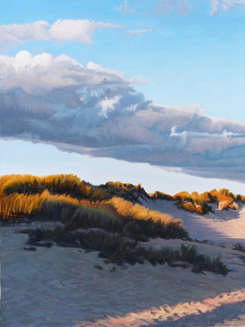 TOM STEINMANN, Cape Cod landscape artist
